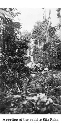 A section of the road to Bita Paka